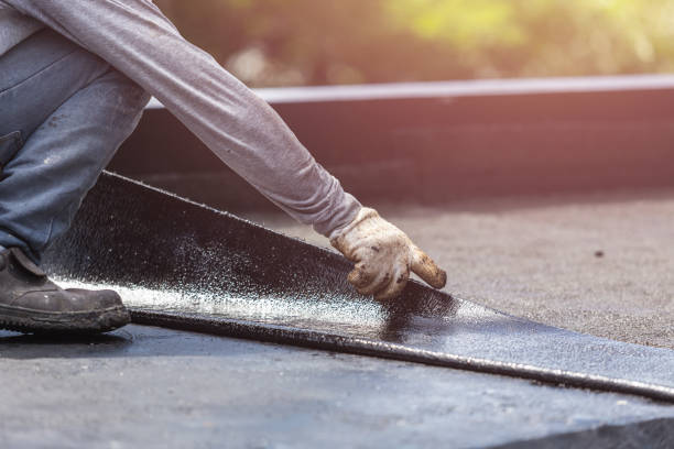 Professional Interior Drainage System technician working in Goodwater, AL
